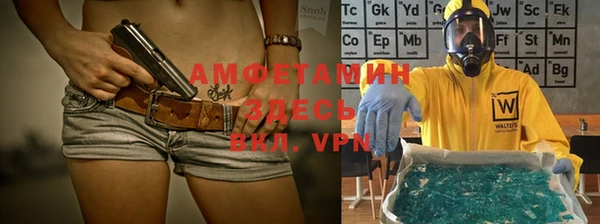 метадон Алексин